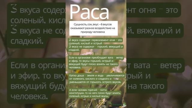 Как лечат травы. Випака, Вирья, Раса, Гуна #аюрведа