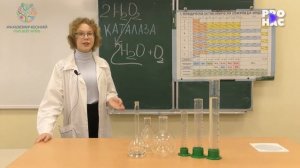 Исследование.  Каталаза как индикатор техногенной нагрузки на окружающую среду