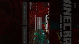 КАК УСТАНОВИТЬ МОД НА ГОЛОСОВОЙ ЧАТ НА Pojav Launcher для REALLYWORLD