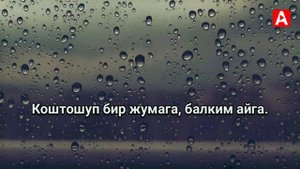 Алтынай Асанбекова - Жамгыр