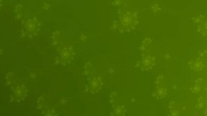 Mandelbrot set Zoom to E142 - 'Green' (Original Music & Video)