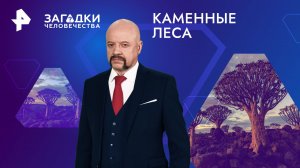 Каменные леса  — Загадки человечества с Олегом Шишкиным (28.03.2024)