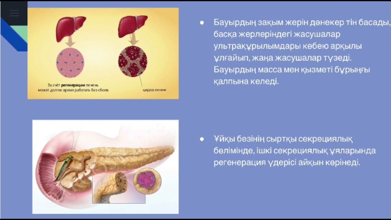 Регенерация