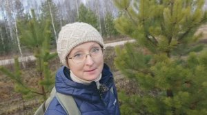 Видео привет с 6 соток 22 ноября 2024 года. Прощаюсь.... с огородом.. Благодарю... Бога!