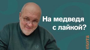 На медведя с лайкой? Валерий Кузенков об охоте на медведя с собакой весной.