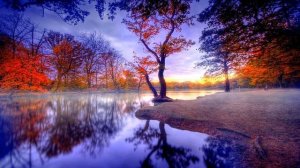 Adam Lambert | My Heart is a Ghost Town | FoC Remix