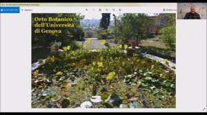 Frutti rari e sconosciuti: la Dovyalis caffra, a cura di Sergio Carlini