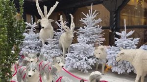 САМАЯ КРАСИВАЯ РОЖДЕСТВЕНСКАЯ ДЕРЕВНЯ ВО ВСЕМ МИРЕ 🎄 КАЙЗЕРСБЕРГ 🎅 НАСТОЯЩАЯ РАДОСТЬ РОЖДЕСТВА