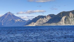 Камчатка 🌋Киты 🐳