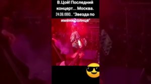Звезда по имени солнце