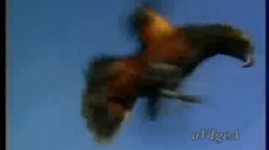 Sting - Every breath you take