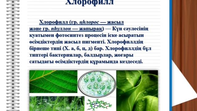 ЖАРАТЫЛЫСТАНУ. 5 - СЫНЫП. ӨСІМДІК ТІРШІЛІГІНДЕГІ ФОТОСИНТЕЗДІҢ РӨЛІ.