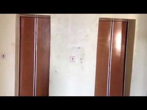 Электрические лифты в ботаническом саду (МОЭЛЗ-залипайки) р. Крым, Ялтинская область (16.10.2017)