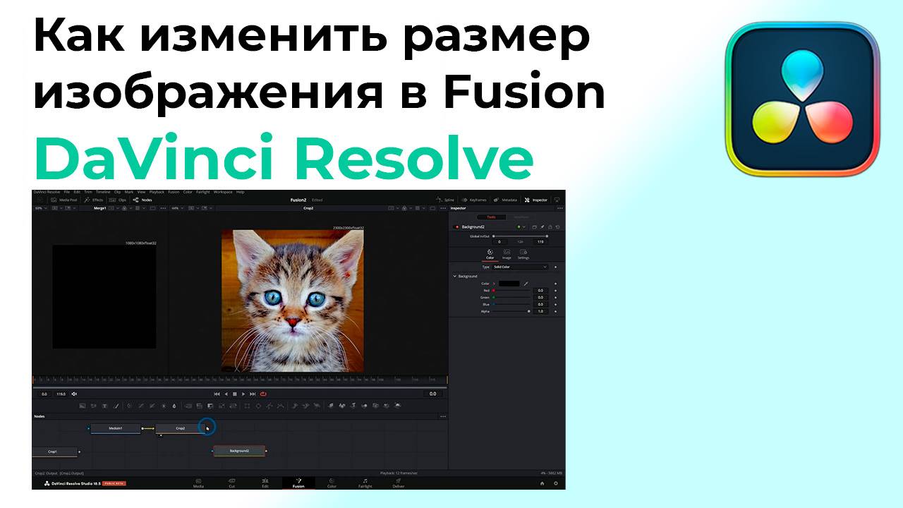 Как обрезать и изменить размер в Fusion Davinci Resolve