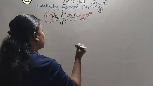 Class 11 - Biomolecules - Amino Acids - 6
