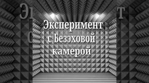 Эксперимент с безэховой камерой