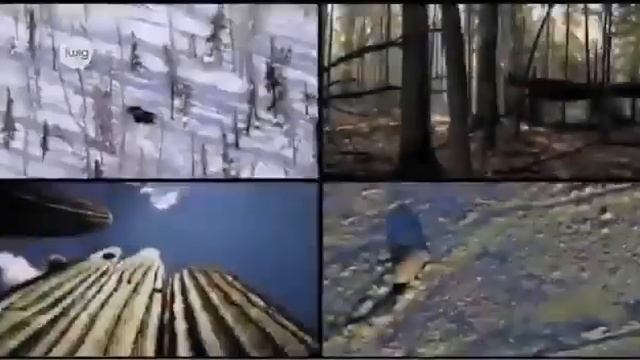 5 сынып. Жаратылыстану. Экожүйелер. 2 сабақ