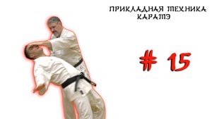 Прикладная каратэ. Выпуск № 15