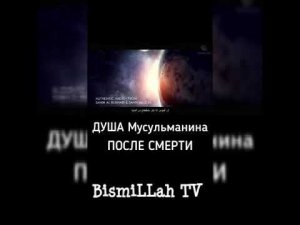 | ДУША МУСУЛЬМАНИНА ПОСЛЕ СМЕРТИ | BismiLLah TV
