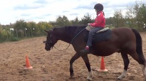 Первое занятие на управление лошадью при помощи кордео. Аня (10 лет) на Властелине.