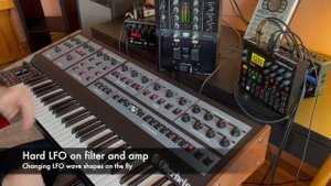 OBERHEIM OB-X8 stereo ARP + LFO heaven. Never heard that good. Beats by DIGITAKT