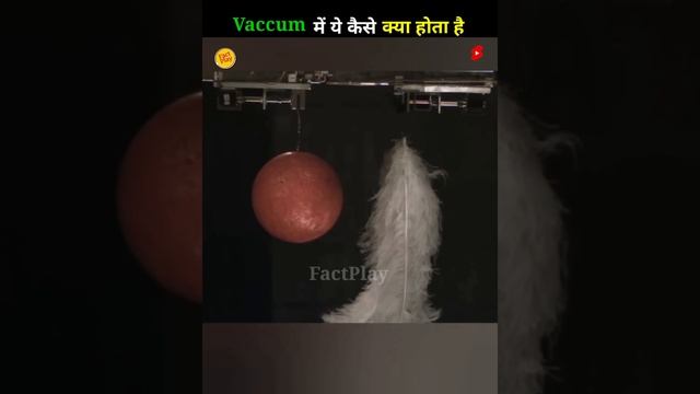 Gravity in vaccum #viralvideo #facts #shortsvideo #viral