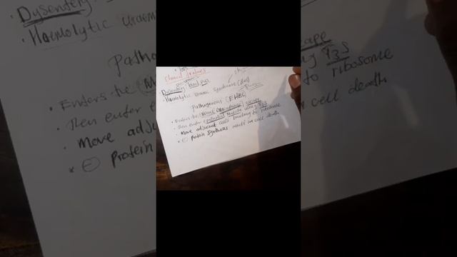 enterobacteriaceae 2 смотреть онлайн