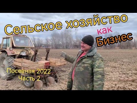 Сельское хозяйство как бизнес, реально или нет ( посевная 2022, часть 2)