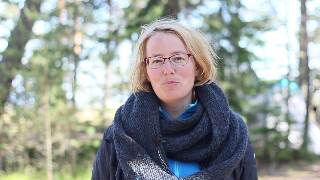 Отзыв 36 июльский ретрит 2017 смотреть онлайн