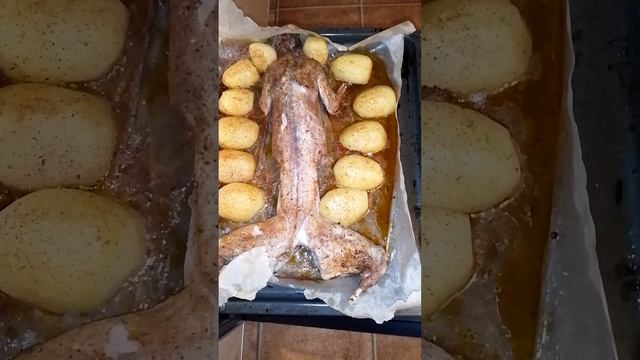 Кролик ТАБАКА  Готово. #мясоед #мясом #мясонасковороде  #мясогриль #мясовказане #мясо #мясной