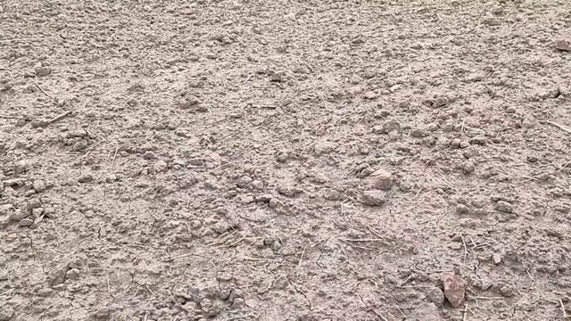 Неудачный выезд, ожидал большего/поиск монет с металлоискателем. #8 смотреть онлайн