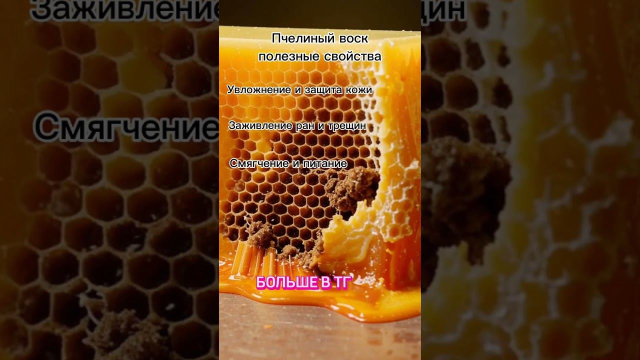 Полезные свойства пчелиного воска. #воск #медицина