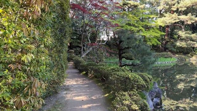 Kyoto 4K Sakura at Heian Jingu Shrine Gardens 平安神宮神苑 heianshrine kyoto japan kyotowalk
