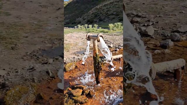 Бжни, родник с минеральной водой смотреть онлайн