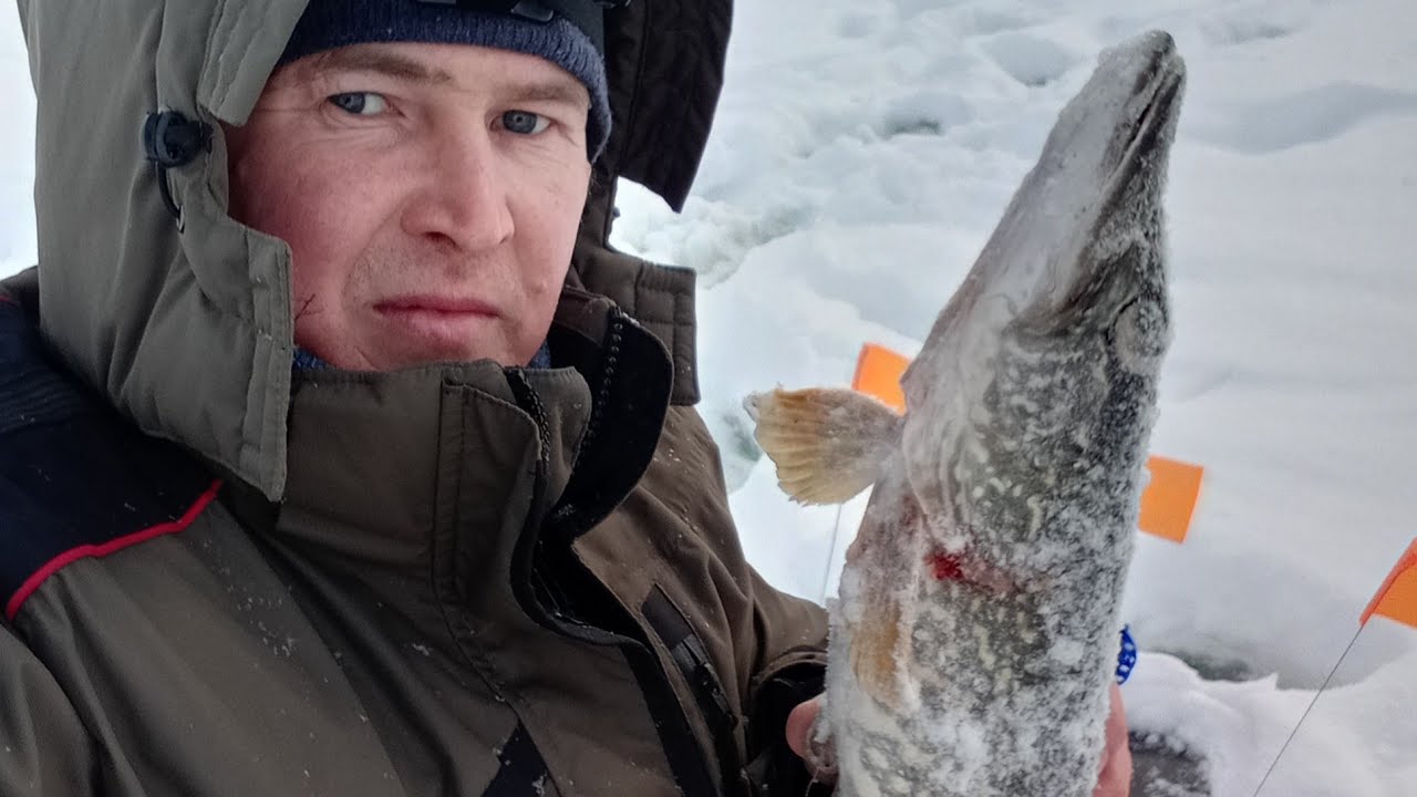 Ловим щуку на жерлицы, 31 декабря, канун нового года. смотреть онлайн