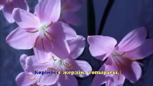 Желсіз түнде жарық - ай Караоке (минус)