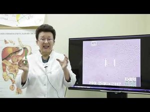 КАК ПОМОЧЬ СВОЕМУ ОРГАНИЗМУ ПРИ ТОКСОПЛАЗМОЗЕ