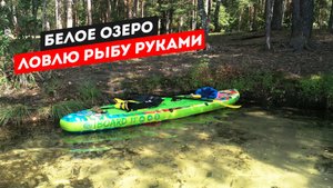 Белое озеро (Бордуковское), сплав. Ловлю рыбу руками.