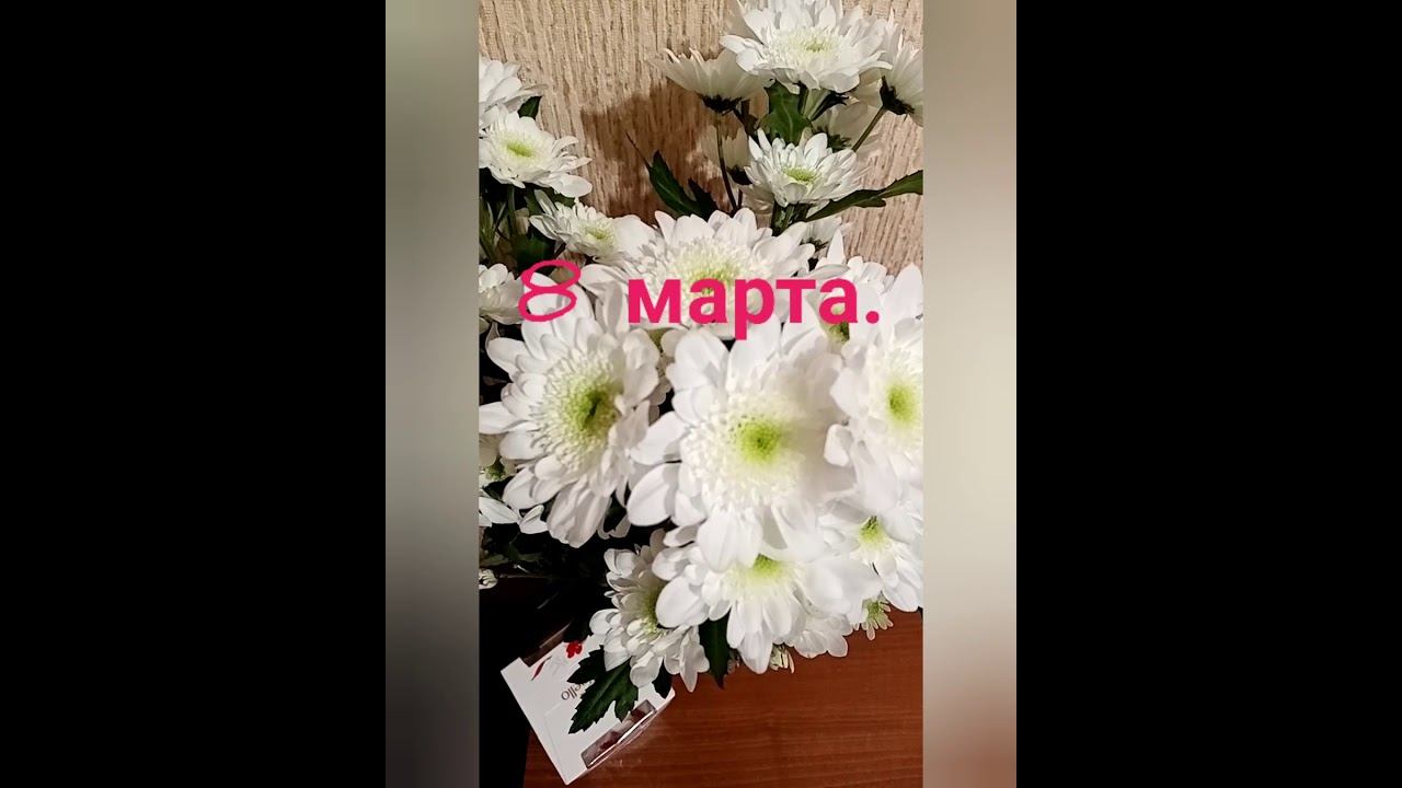 Трогательное поздравление