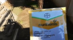 Ранний арбуз Трофи  Крым (2019)