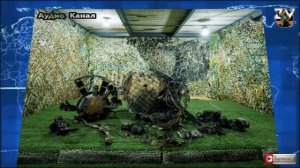 Стала известна судьба обломков «Орешника» на Украине