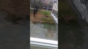 Взорвал банку сока