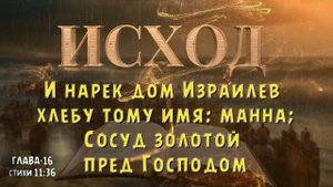 ИСХОД 16 -11:36  /Сосуд золотой пред Господом. EXODUS 16 A golden vessel is before the Lord.