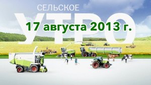 Сельское утро (17 августа 2013)