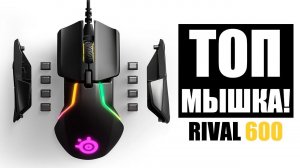 SteelSeries Rival 600 | ОБЗОР ИГРО ДЕНЬ! | steelseries rival 600 review