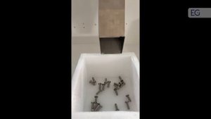 Счётно-фасовочная машина для подсчета метизов TY-1000