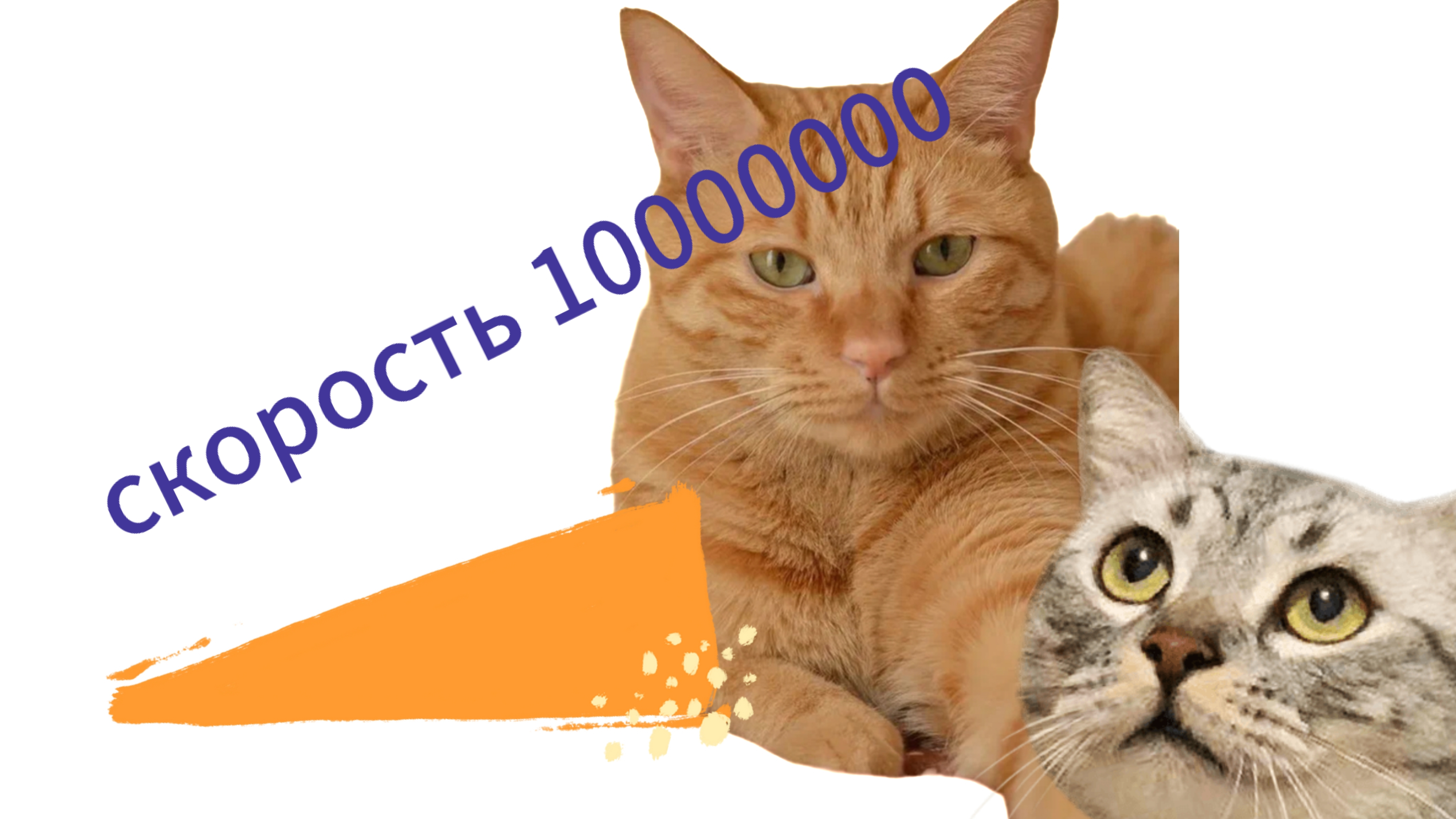 играем в симулятор скорости 🚀
