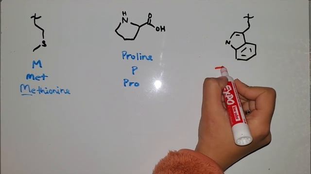 Tips to memorize amino acids explained | Biosynthesis and Organic Chemistry Synthesis смотреть онлайн