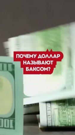 Почему доллар называют баксом #shorts