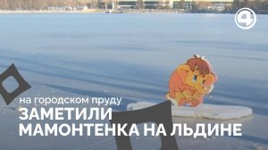 Мамонтенок на льдине в Екатеринбурге: загадочная находка